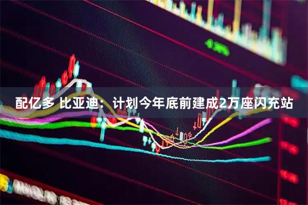 配亿多 比亚迪：计划今年底前建成2万座闪充站